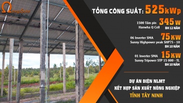 Dự Án Điện Năng Lượng Mặt Trời Kết Hợp Sản Xuất Nông Nghiệp 525kWp Tỉnh Tây Ninh